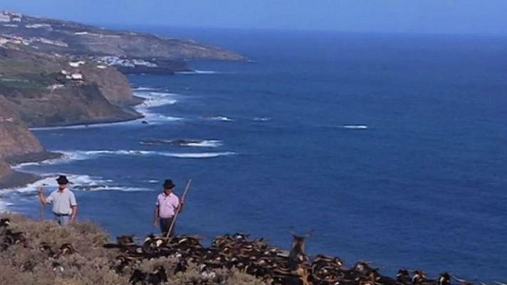Aquí la Tierra - En San Juan, las cabras se bañan en el mar