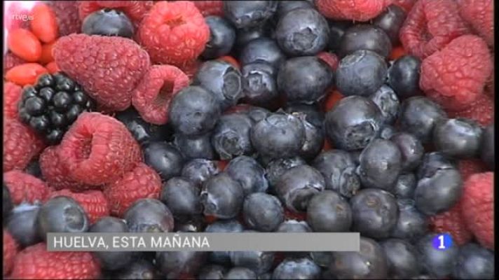  - Huelva acoge el 3º Congreso Internacional de Frutos Rojos