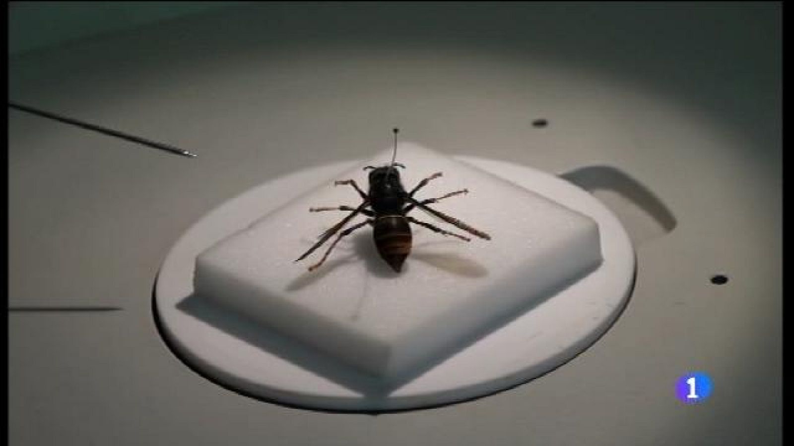 Informatiu Balear 2 - 22/06/17