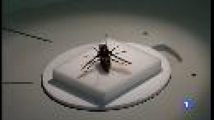 Informatiu Balear - Informatiu Balear 2 - 22/06/17