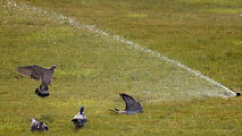 Temperaturas muy altas en el interior peninsular