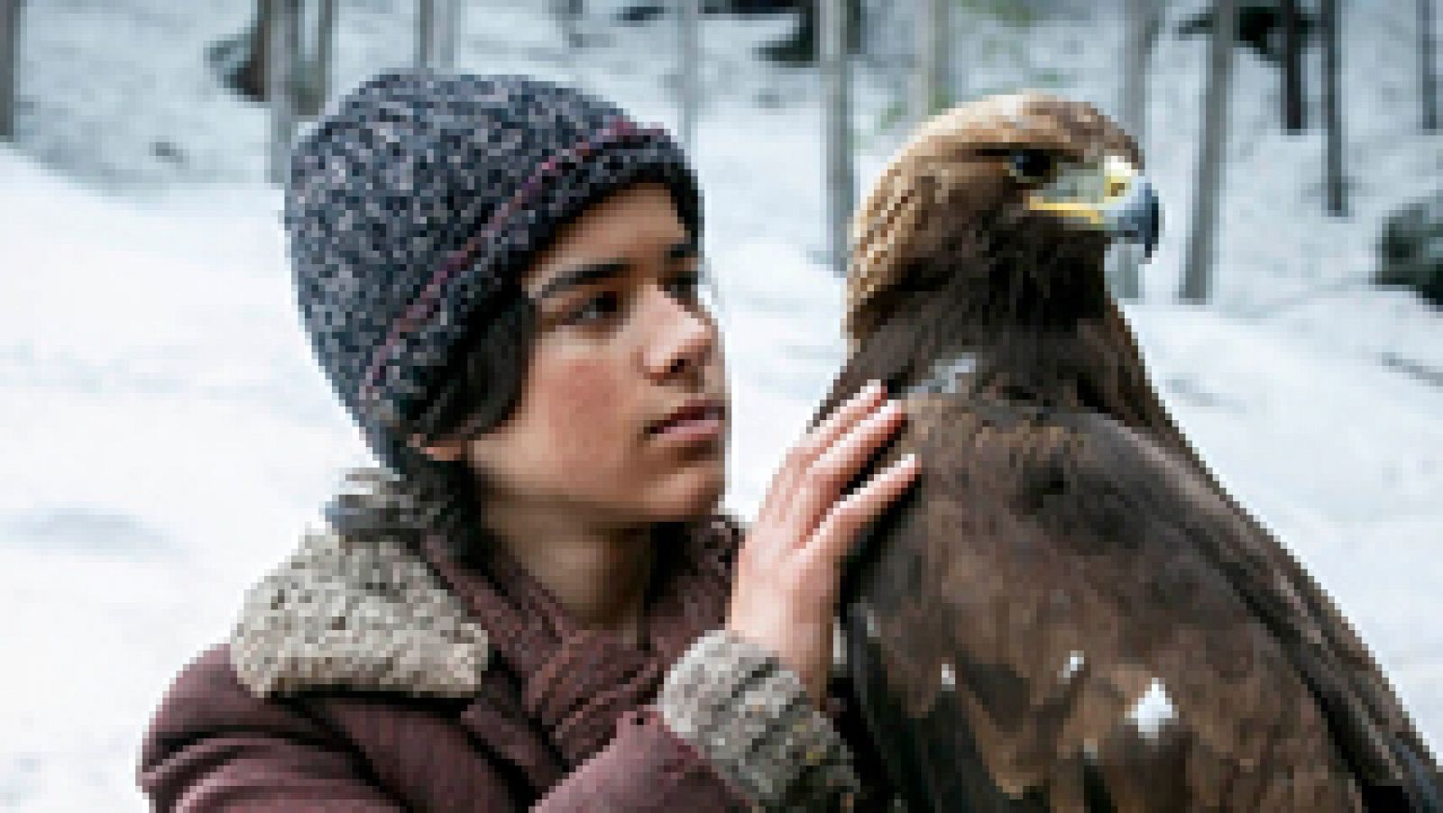 'Hermanos del viento'