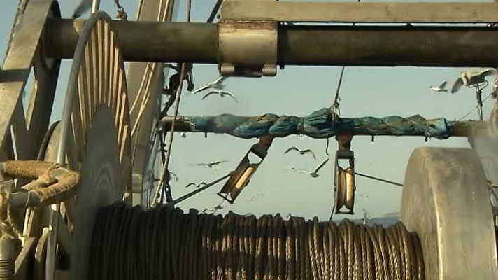 El escarabajo verde - La mar de polímeros