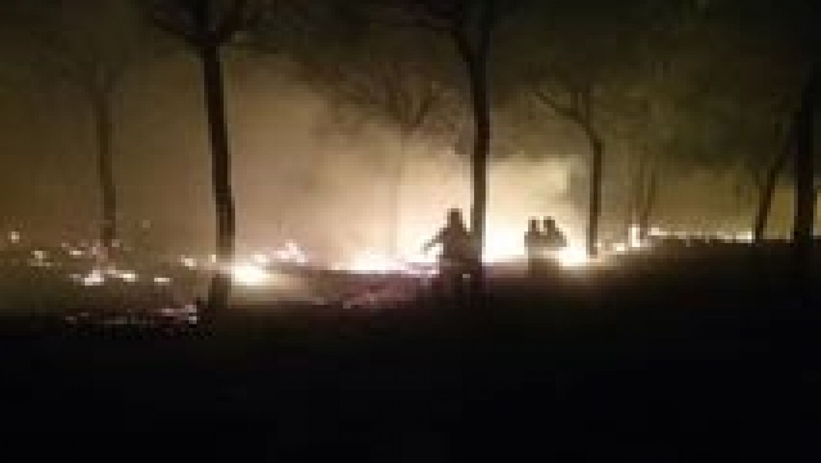 Un incendio forestal en Moguer (Huelva) obliga a desalojar a más de dos mil personas