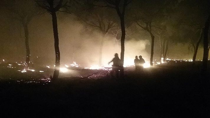 Informativo 24h - Desalojadas a 2.000 personas por un incendio en Moguer