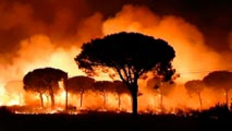Incendio en Moguer - Un incendio forestal obliga a desalojar a más de dos mil personas en el entorno de Doñana