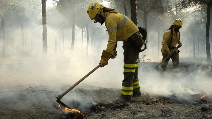  - Cientos de efectivos han trabajado durante la noche para contener el fuego en Matalascañas