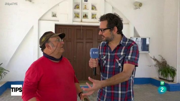 Tips - Eugeni Alemany y los misterios de El Perellonet