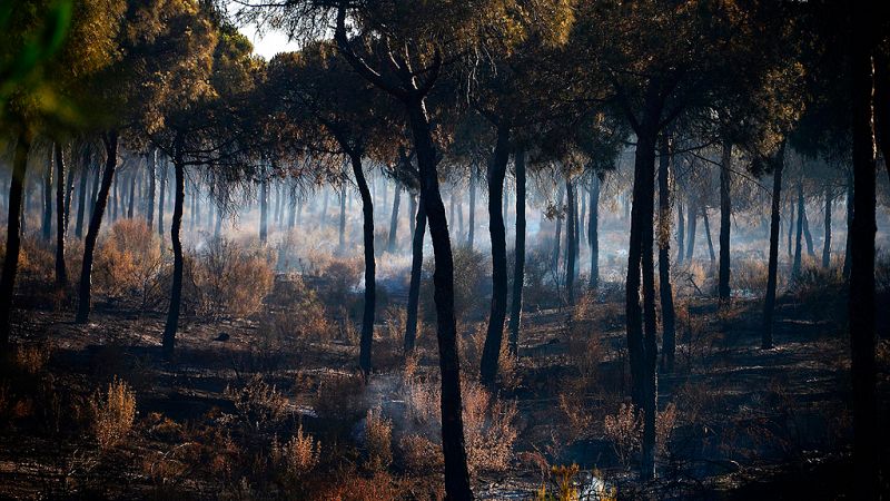 Las imágenes aéreas del incendio nos dan una idea de cómo es la situación en Huelva