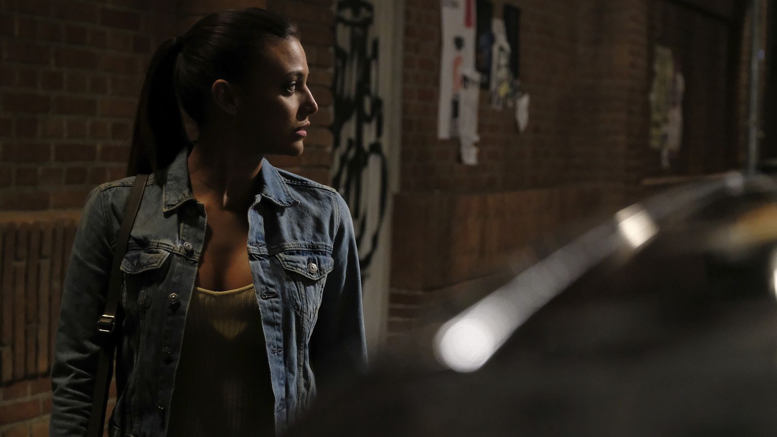 Servir y proteger - Episodio 42 - Ver ahora