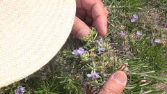 Aquí la tierra - Piernas y pies, como nuevos