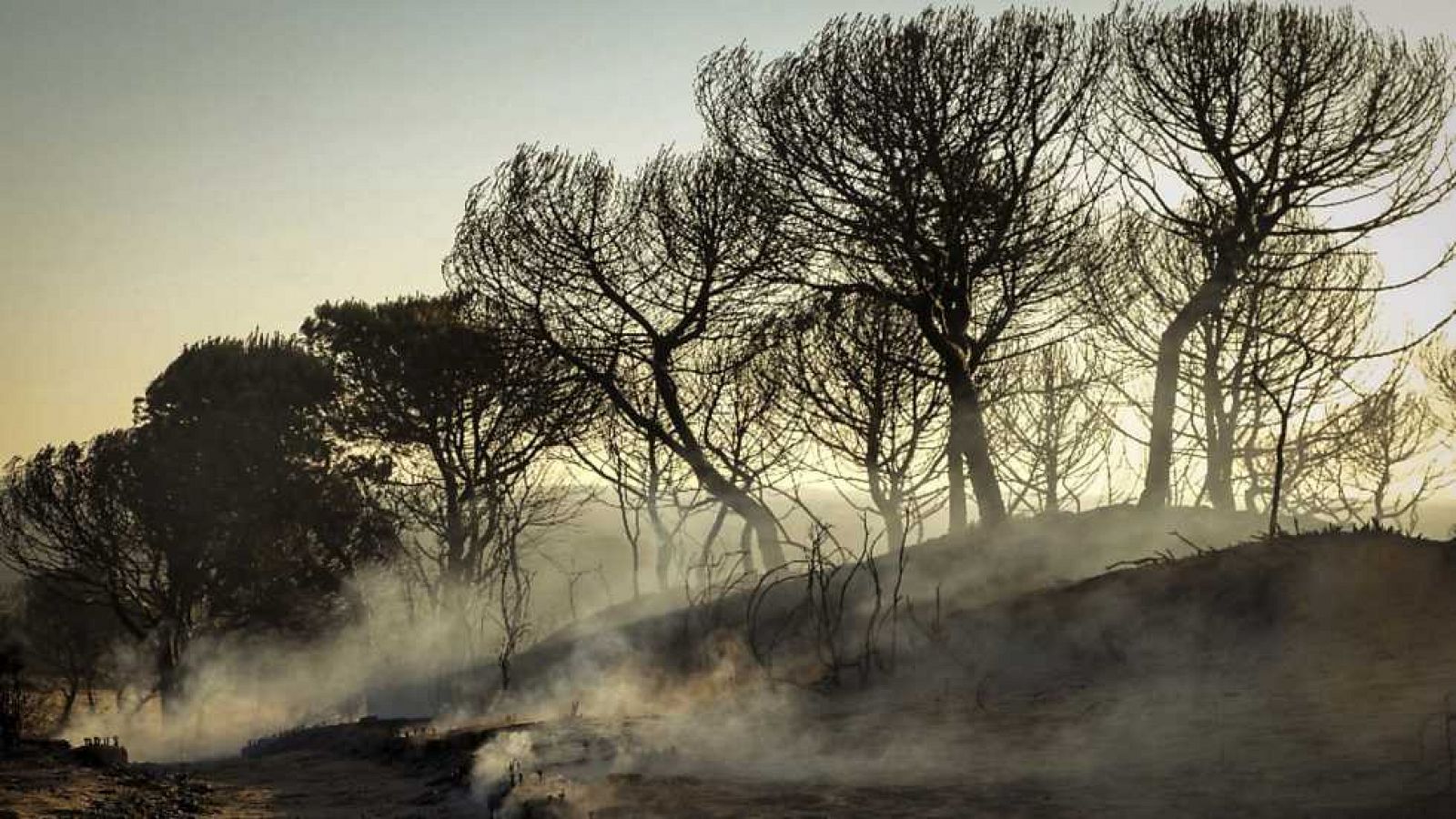 20H - 26/06/17 - ver ahora