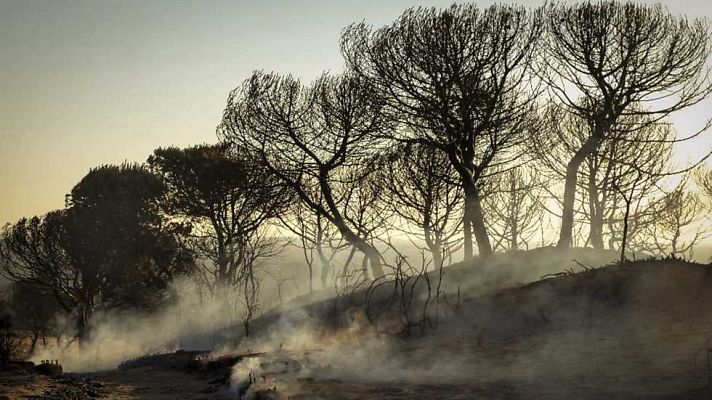 20H - 20H - 26/06/17