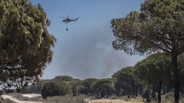 Los bomberos trabajan en el perímetro del incendio de Moguer y esperan darlo por estabilizado este martes