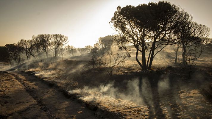 Castellano: "El fuego no ha llegado el Parque Nacional de Doñana"
