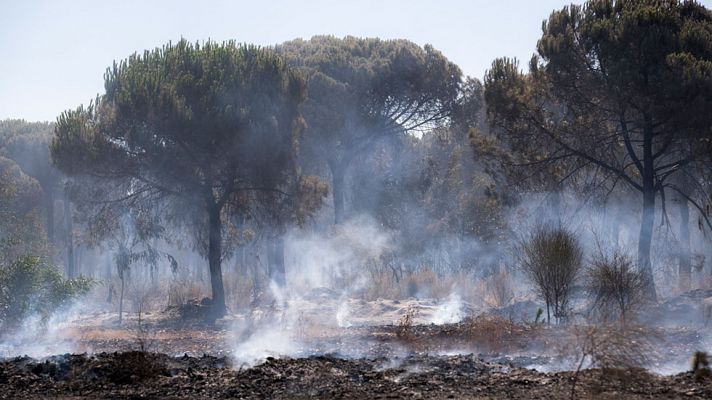 La mañana - Dan por controlado el incendio forestal de Moguer, Huelva