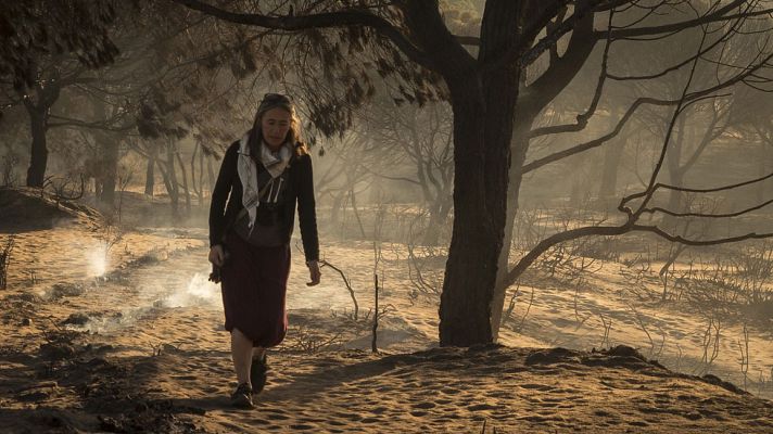 Telediario 1 - A las puertas del camping de Doñana, en Mazagón, hoy había cola. La mayor parte de los desalojados por el incendio salieron corriendo de aquí. Vuelven a ver qué se encuentran.