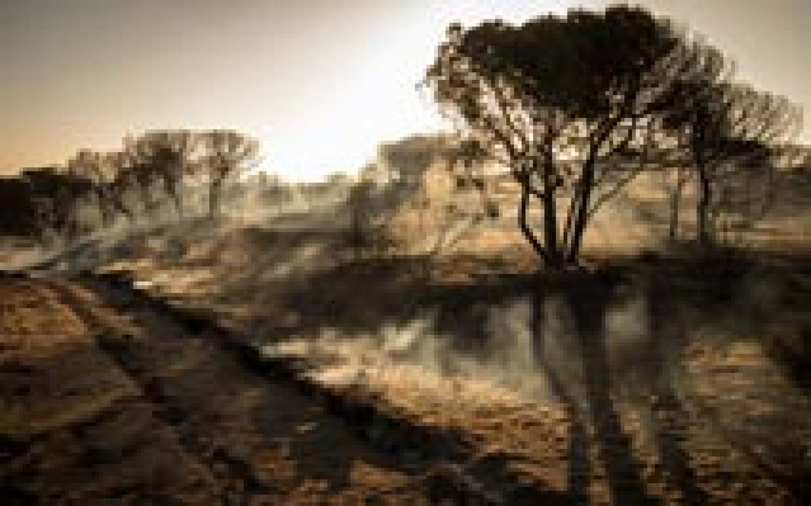 El fuego en el entorno de Doñana ha afectado a 8.486 hectáreas de matorrales y arbolado