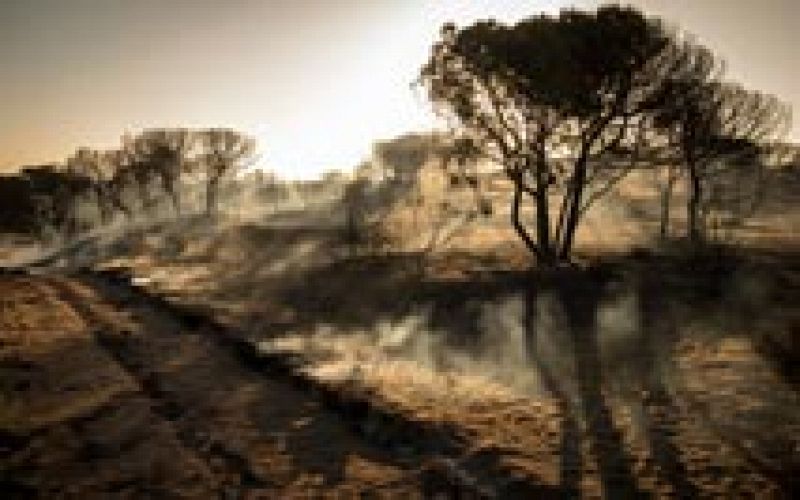 El fuego en el entorno de Doñana ha afectado a 8.486 hectáreas de matorrales y arbolado