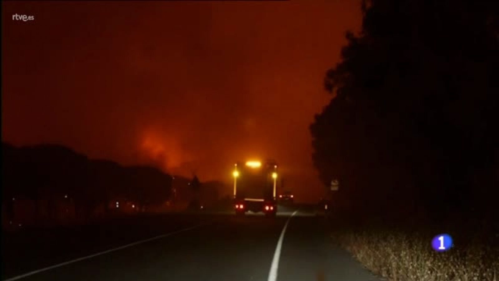 Sin programa: Los daños medioambientales del incendio de Moguer | RTVE Play