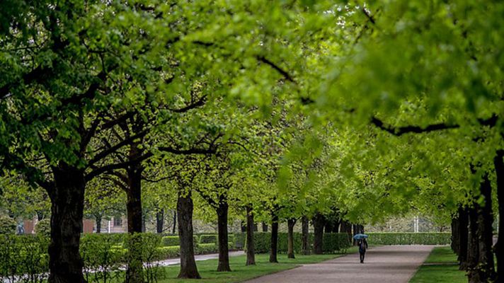 Informativo de Madrid - El Tiempo en la Comunidad de Madrid - 30/06/17