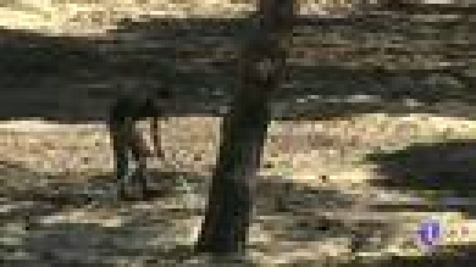 Noticias Andalucía 30/06/2017 | Ver