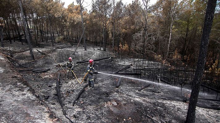Telediario 1 - El incendio del entorno de la Sierra Calderona se encuentra estabilizado