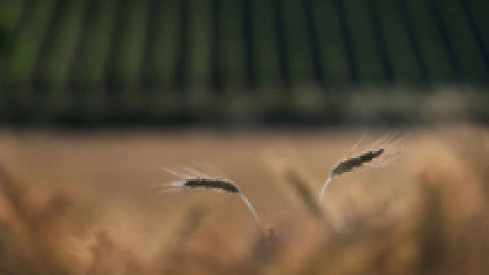 El tiempo - Sol generalizado con viento en el Estrecho, sur de Andalucía y Canarias