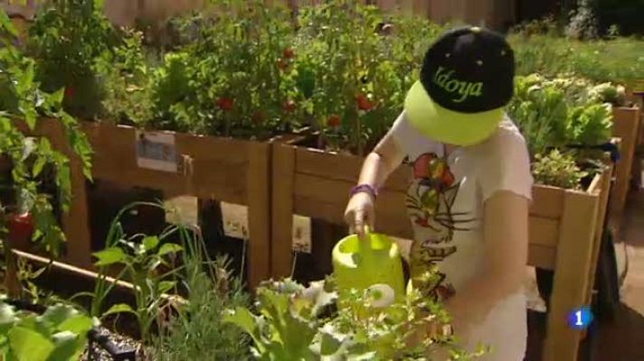 L'Informatiu - Us ensenyem el projete social que hi ha darrera de l'hort d'en Queni