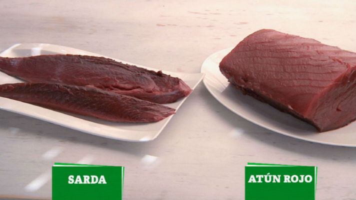 Aquí la Tierra - Catamos atún