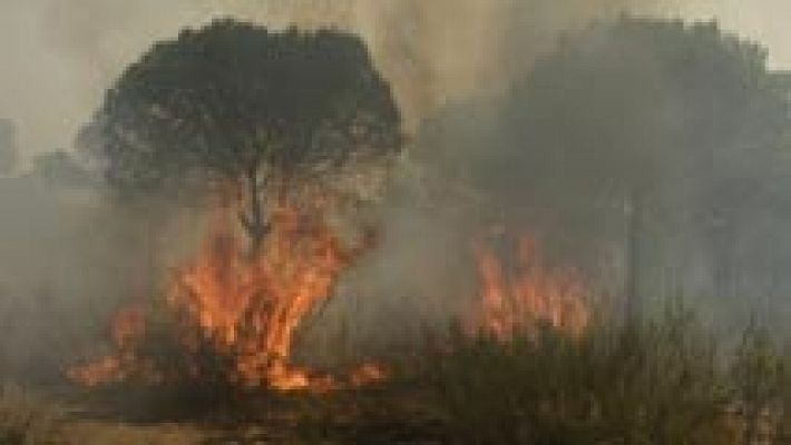  Desalojadas unas 400 personas por un incendio forestal en Riotinto, en Huelva