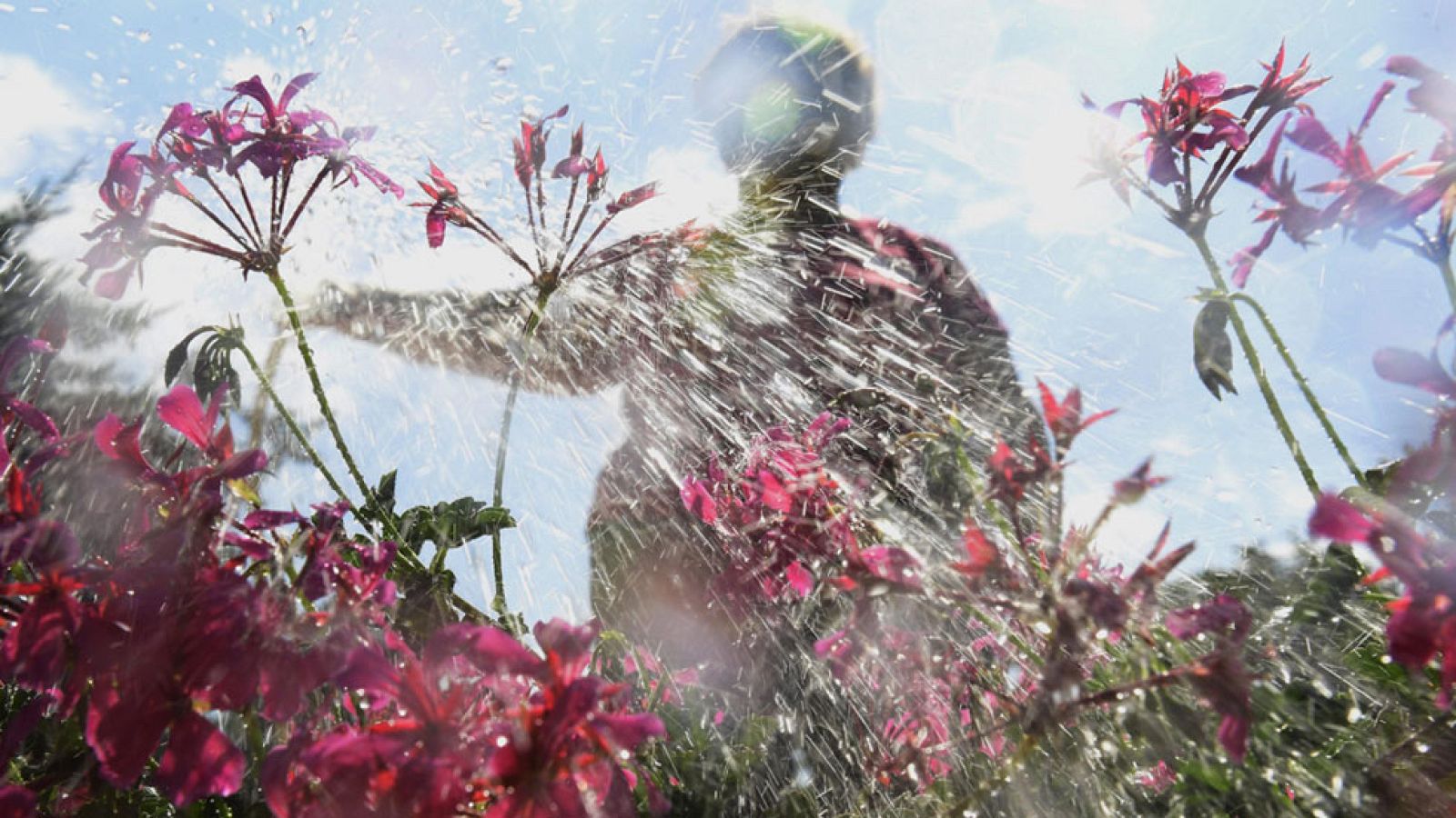 Informativo de Madrid: El Tiempo en la Comunidad de Madrid - 04/07/17 | RTVE Play