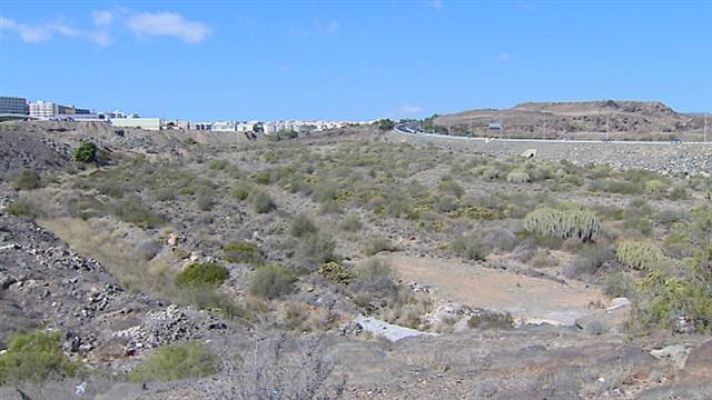  - news-siam-park rtvenews 1