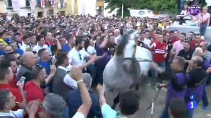 Ahora empieza lo bueno - Carrera de los caballos del vino