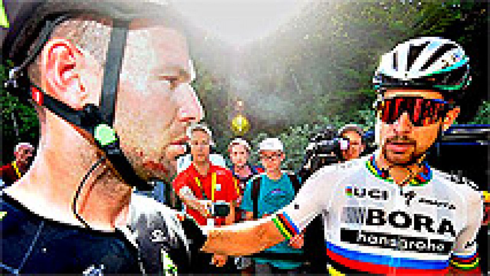 El ciclista eslovaco Peter Sagan (Bora-Hansgrohe) aseguró este  miércoles que acata la decisión de los jueces de la UCI de expulsarle  de Tour de Francia tras el incidente en el sprint de este martes en  Vittel, en la cuarta etapa de la ronda gala, e