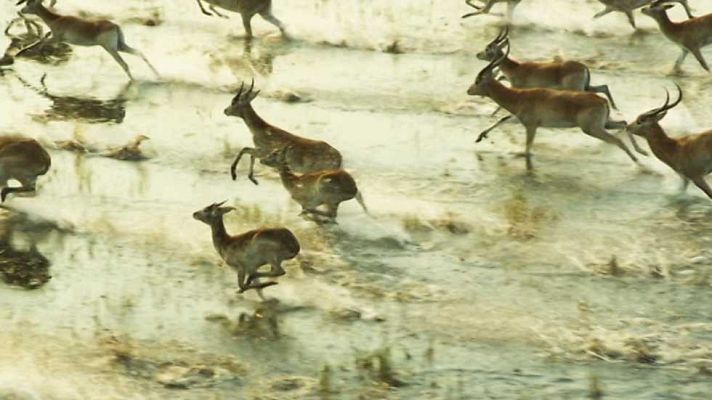 Unidos por el Patrimonio - Delta del Okavango (Botswana)