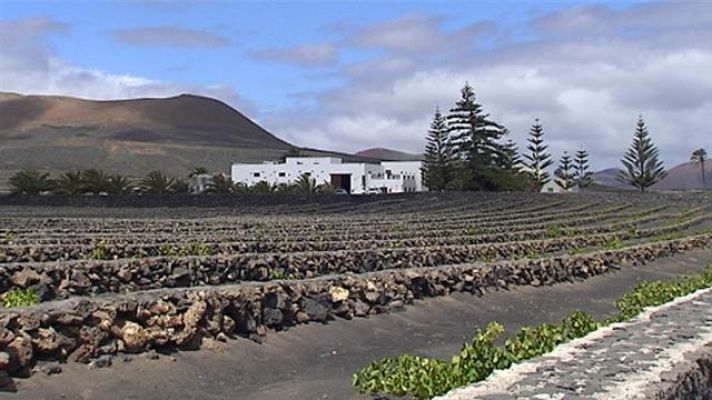 Telecanarias - Telecanarias - 05/07/2017