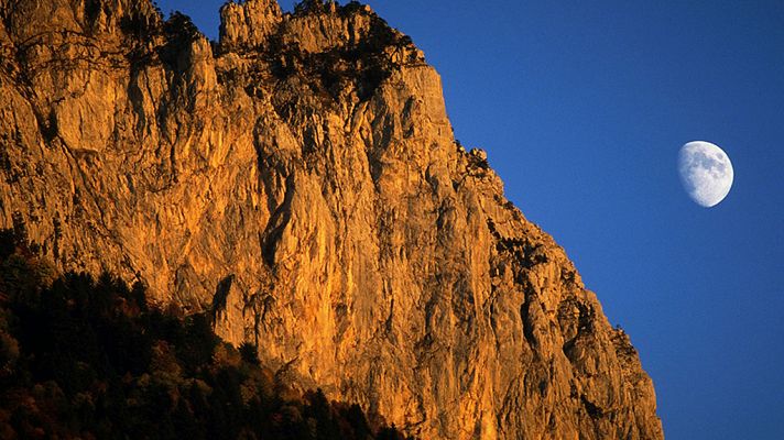 Secretos de la luna: A la luz de la luna