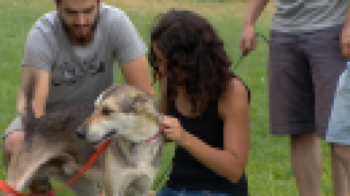 Telecanarias - Telecanarias 2 - 06/07/2017