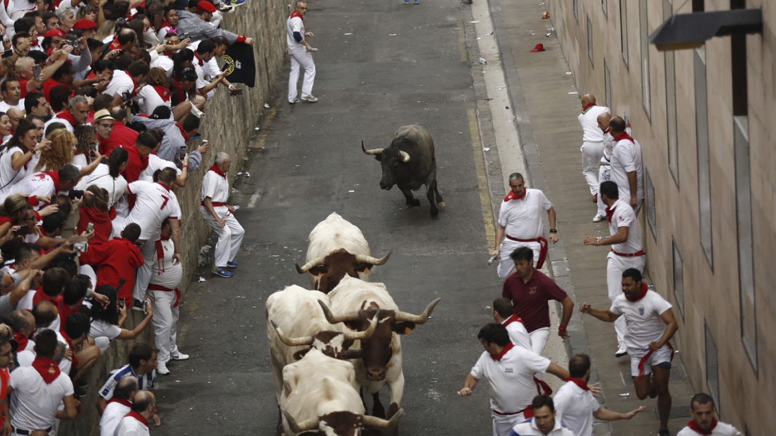 Tercer año consecutivo en que un toro de la ganadería de José Escolar se vuelve a los corrales en los Sanfermines