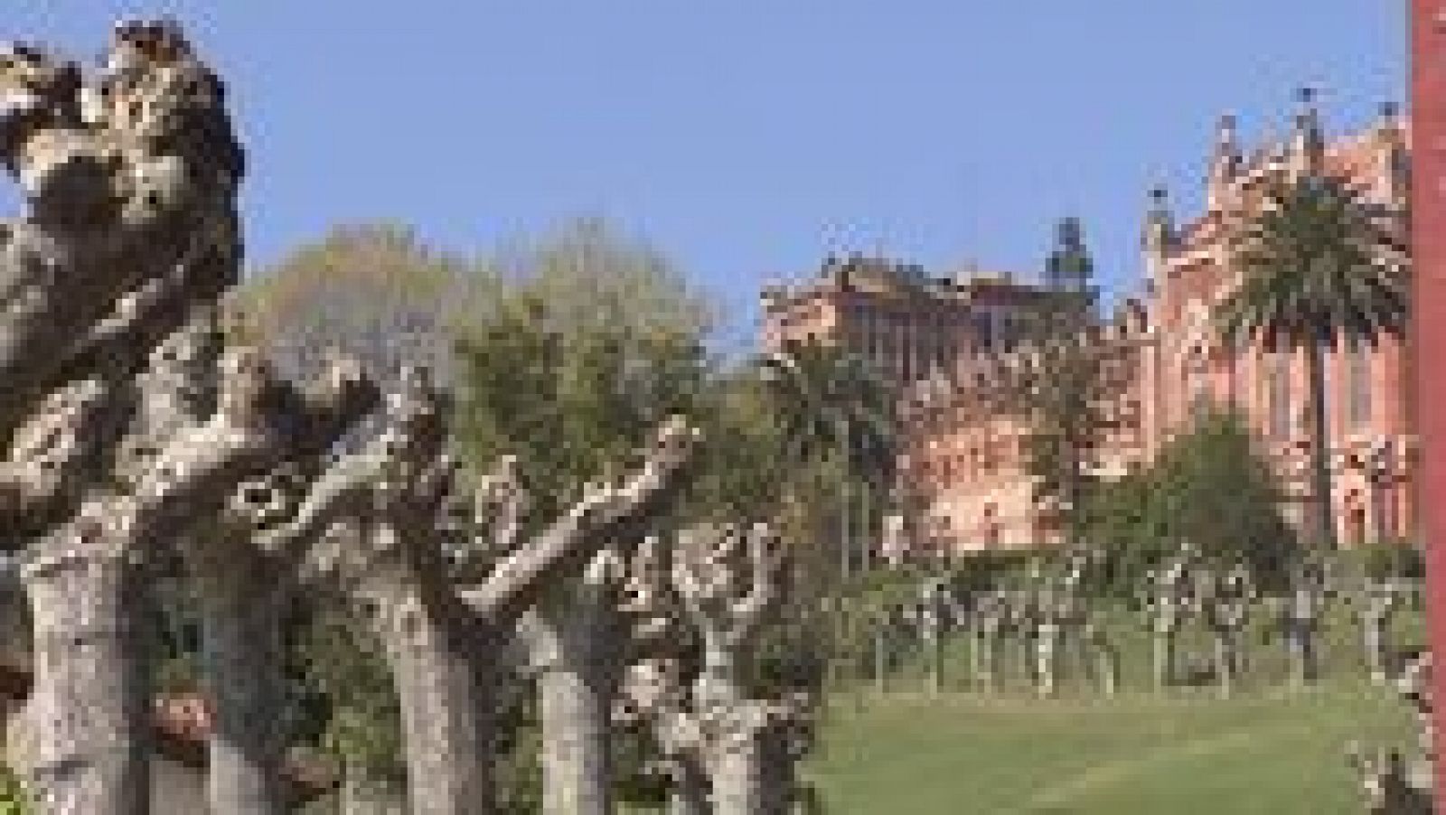 España en comunidad - 08/07/17 - ver ahora