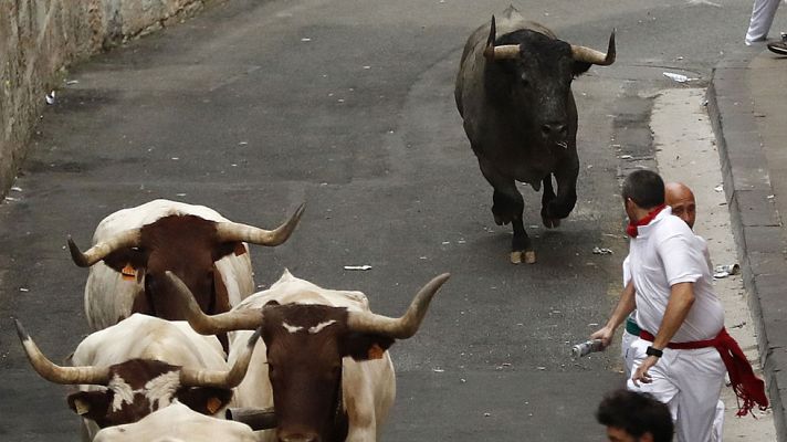 San Fermín - Por qué un toro se vuelve en el segundo encierro de los Sanfermines de 2017