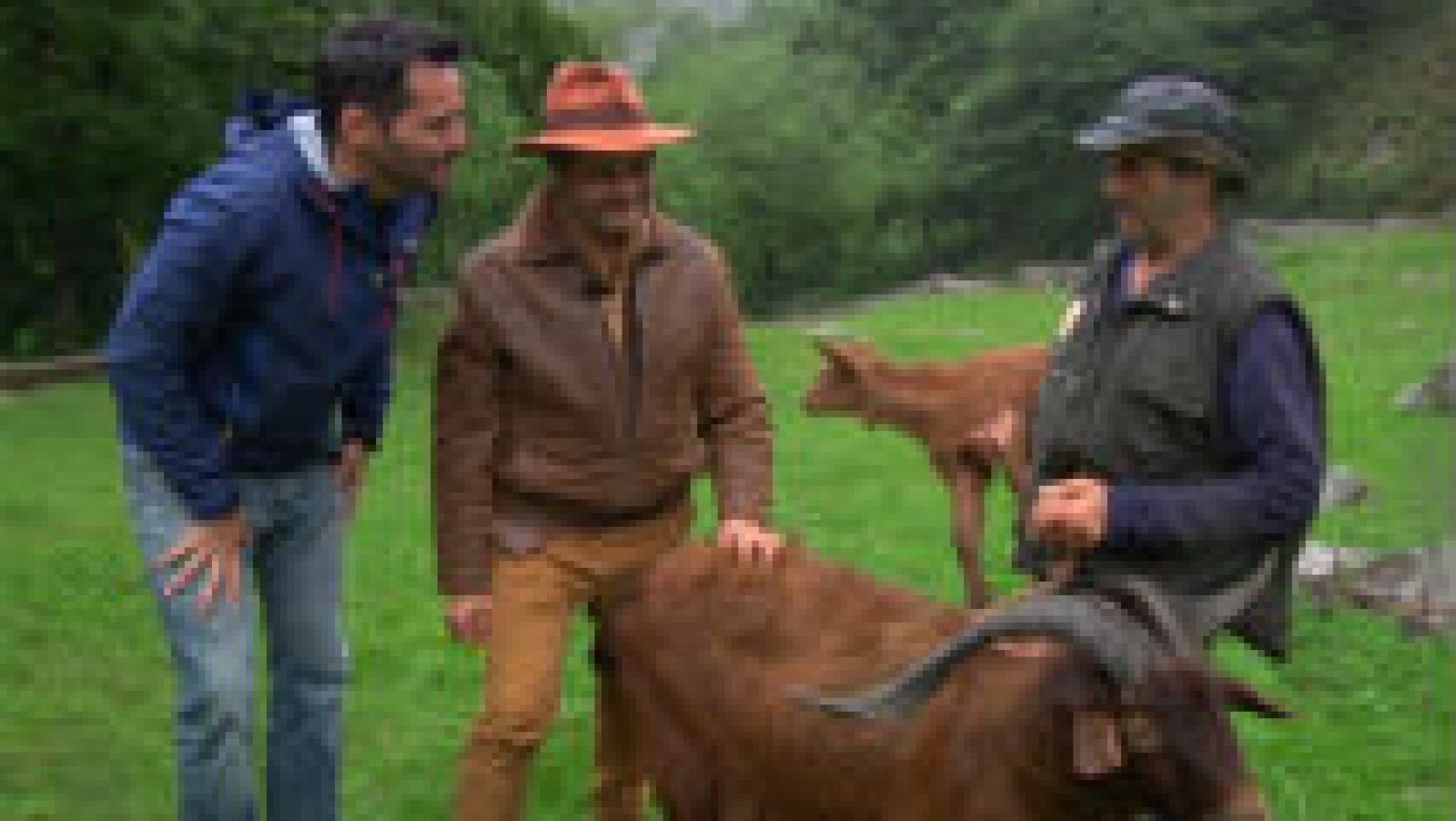  Cabra bermeya, símbolo de Asturias 