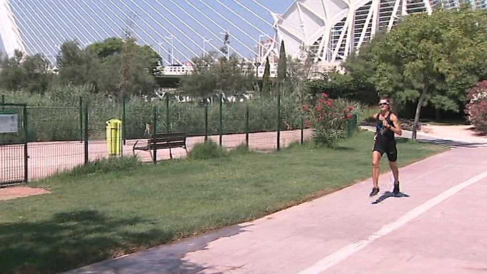 L'Informatiu - Comunitat Valenciana 2 - 10/07/17 - ver ahora