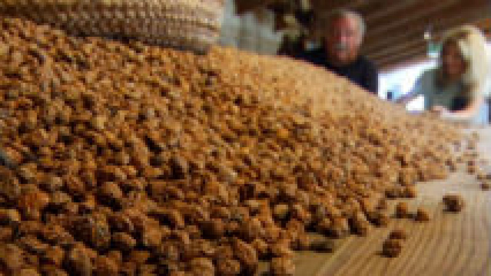 La fórmula de la horchata casera