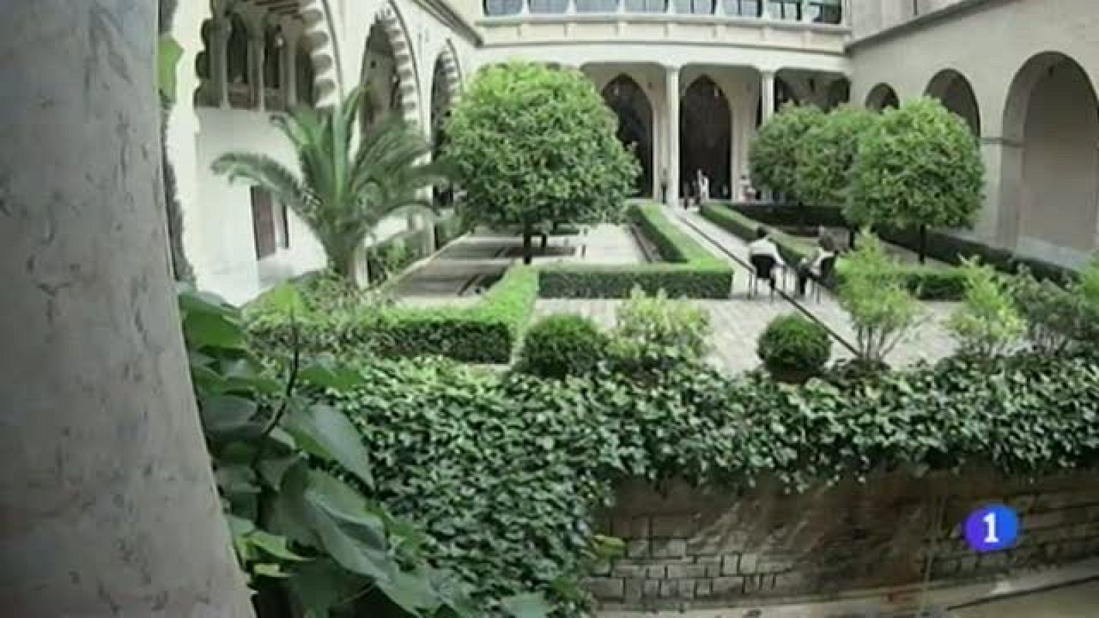 CaraB - Violeta Barba