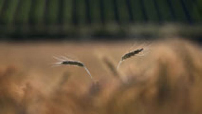 Informativo de Madrid - El Tiempo en la Comunidad de Madrid - 11/07/17