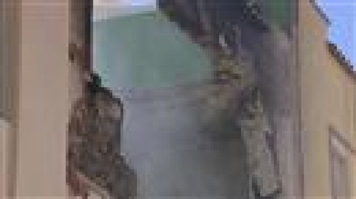 Telecanarias - Canarias en 2' - 11/07/2017