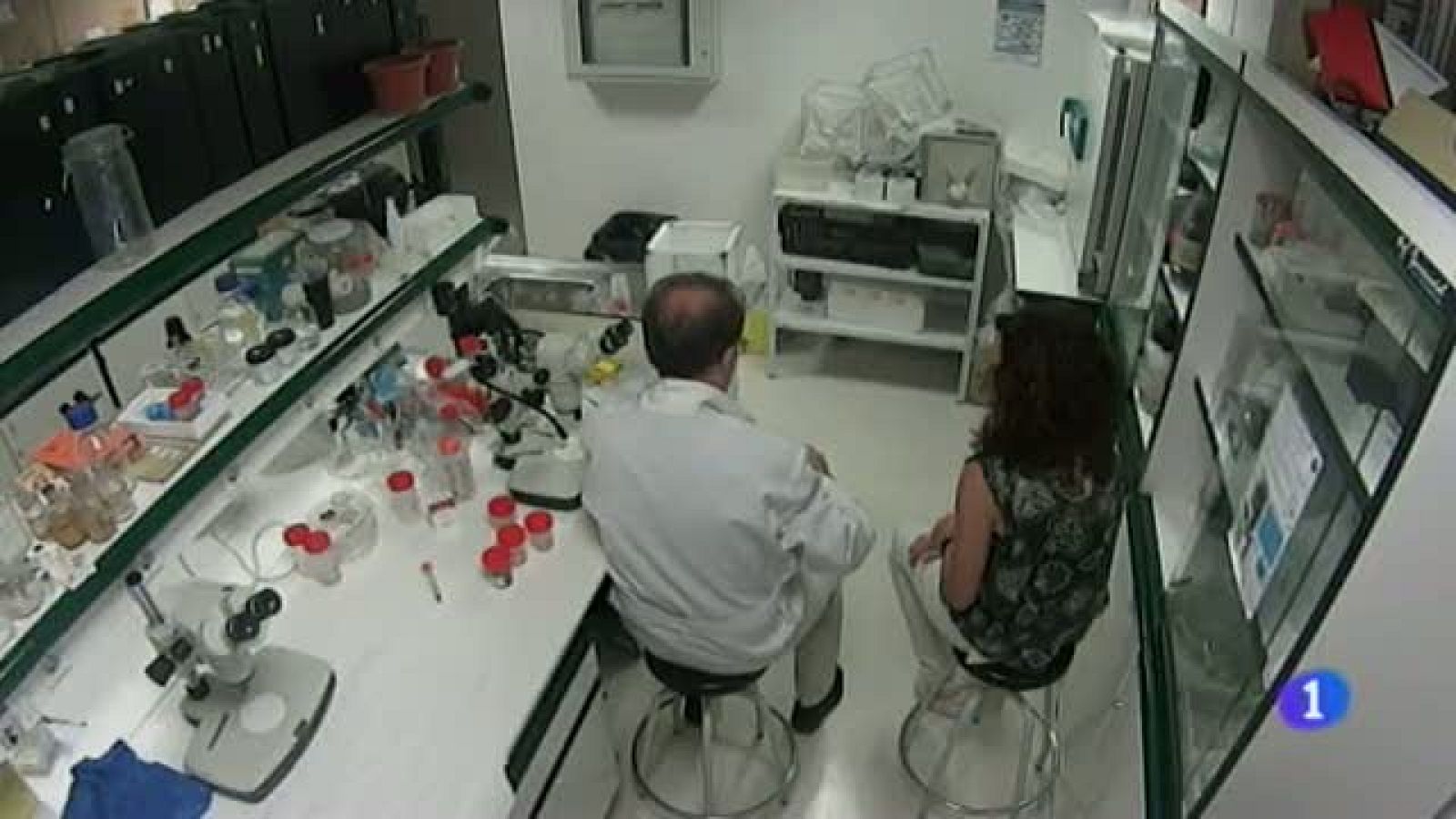 Cara B - Javier Lucientes