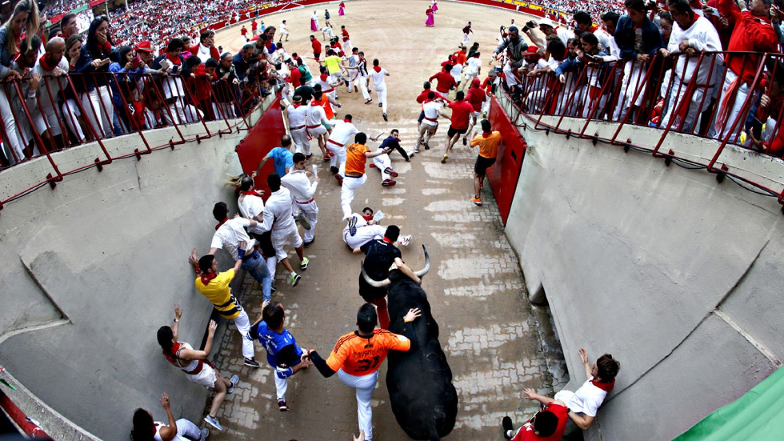 Así se seleccionan las repeticiones de los encierros de los Sanfermines